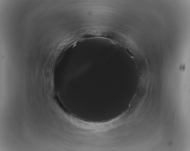 X0000091240031200708161745