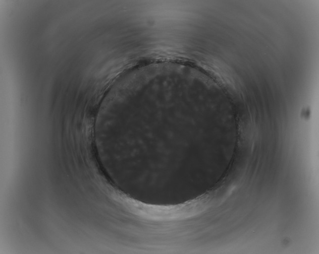 X0000091240034200708161745