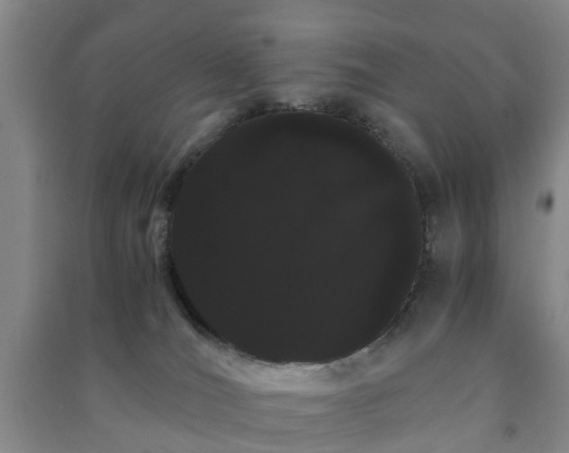 X0000091240036200708161745