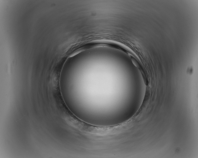 X0000091240037200708161745