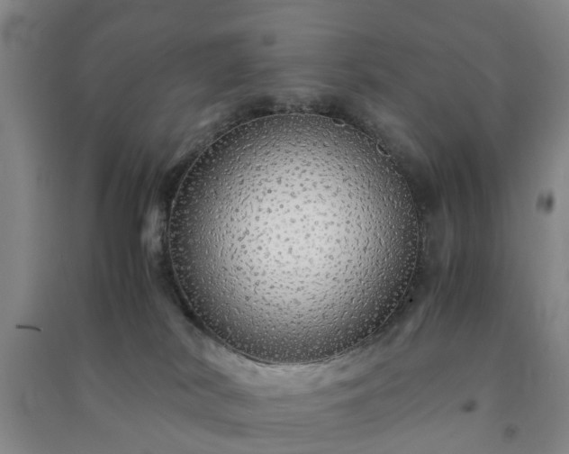 X0000091240038200708161745