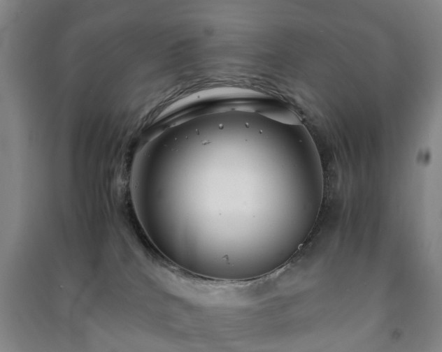 X0000091240040200708161745