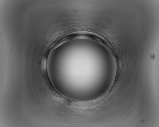 X0000091240041200708161745