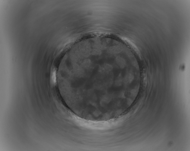 X0000091240042200708161745