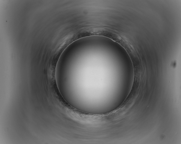 X0000091240044200708161745