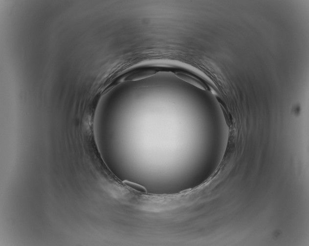 X0000091240045200708161745