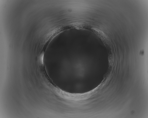 X0000091240047200708161745