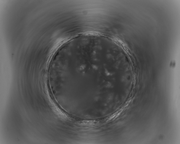 X0000091240049200708161744