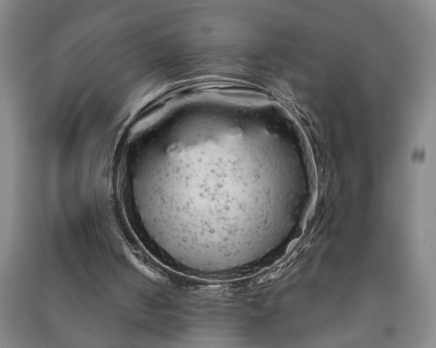 X0000091240050200708161744