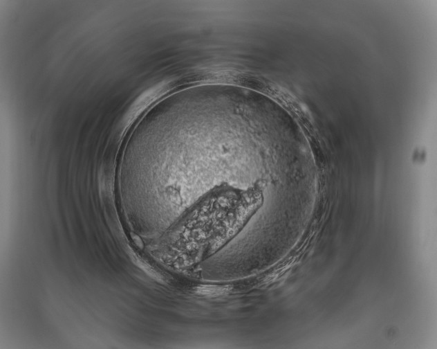 X0000091240051200708161744