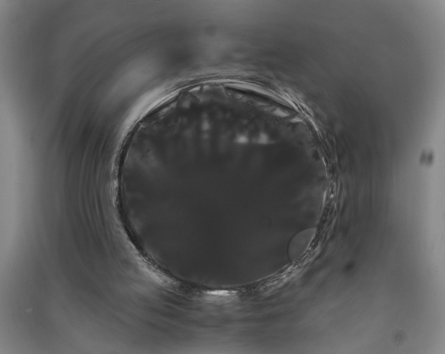 X0000091240053200708161744