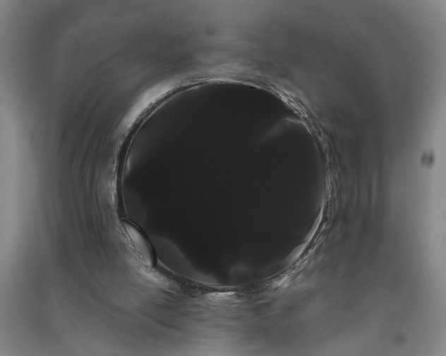 X0000091240054200708161744