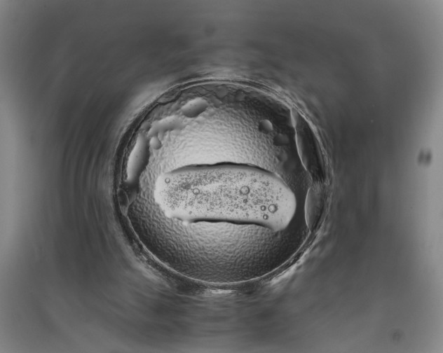 X0000091240055200708161744