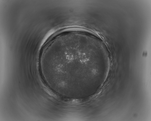X0000091240056200708161744