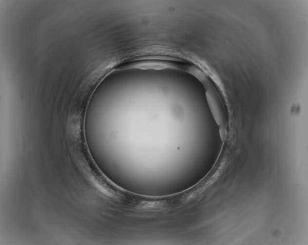 X0000091240057200708161744