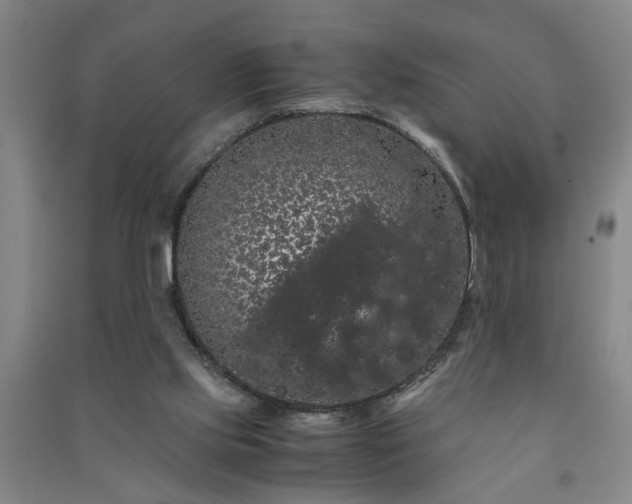 X0000091240061200708161744