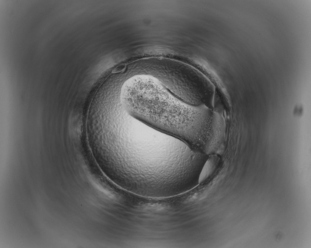 X0000091240063200708161744