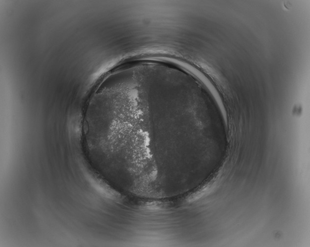 X0000091240064200708161744