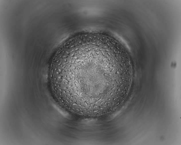 X0000091240065200708161744