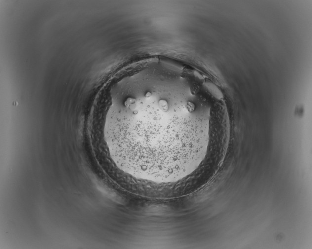 X0000091240066200708161744