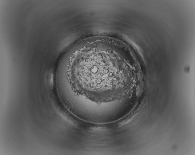 X0000091240067200708161744
