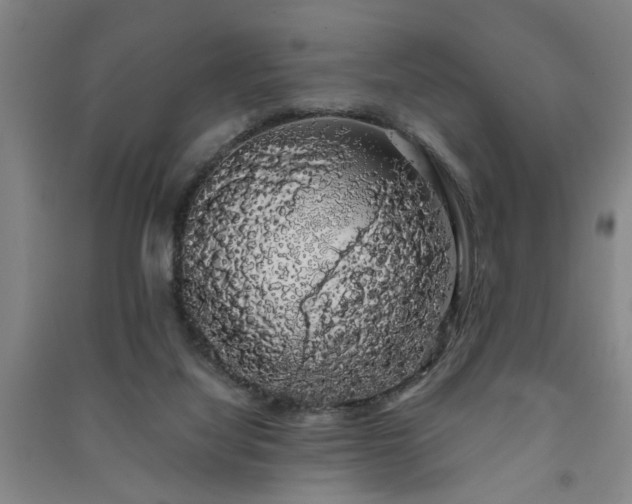 X0000091240068200708161744