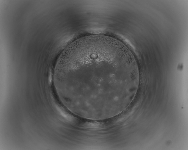 X0000091240069200708161744