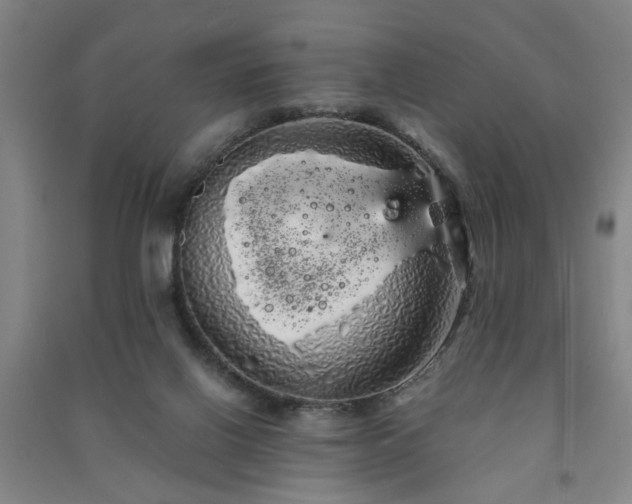 X0000091240070200708161744