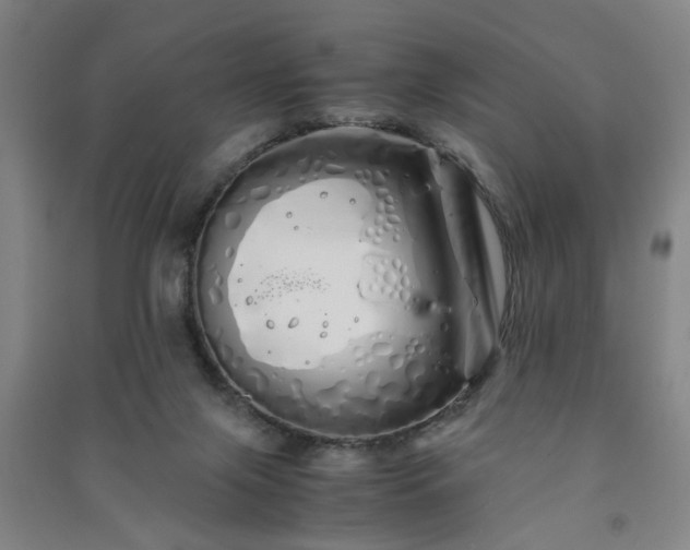 X0000091240071200708161744