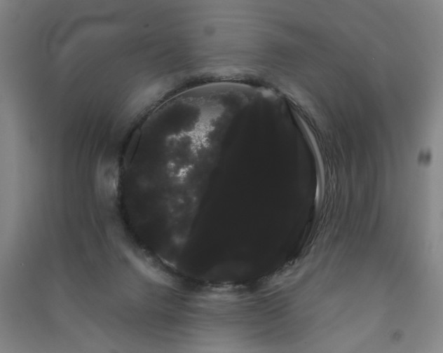 X0000091240072200708161744