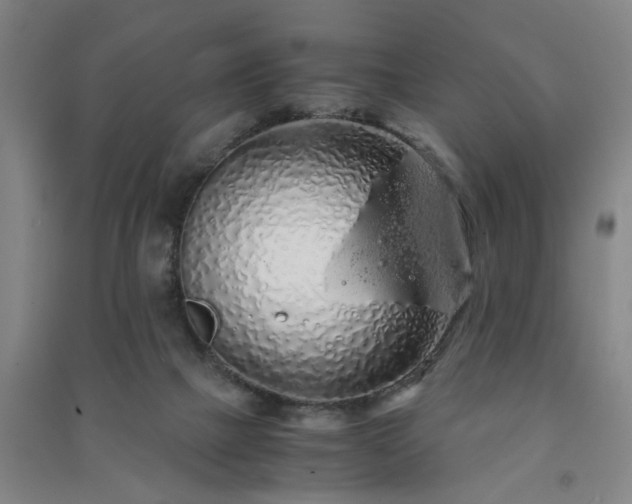 X0000091240073200708161744