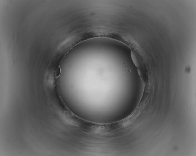X0000091240074200708161744