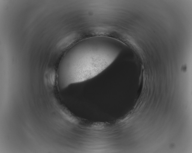 X0000091240076200708161744
