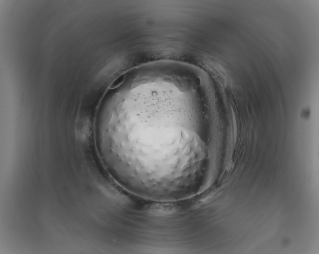 X0000091240077200708161744