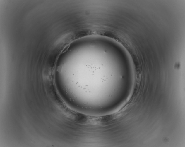 X0000091240078200708161744