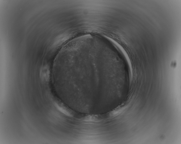X0000091240080200708161744