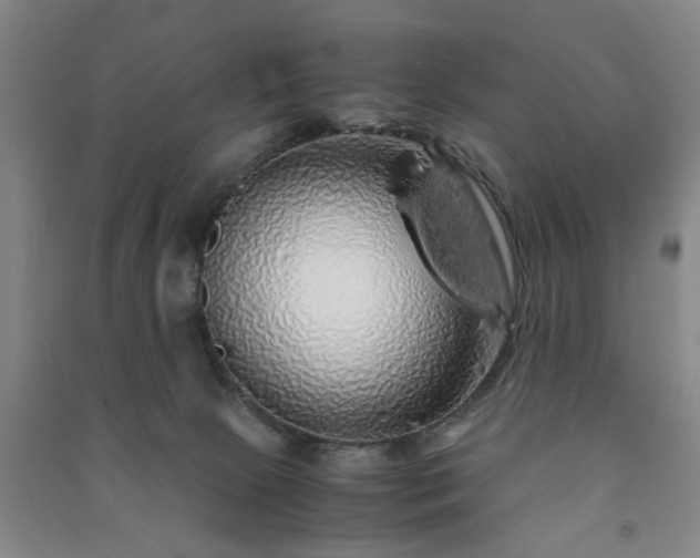 X0000091240081200708161744