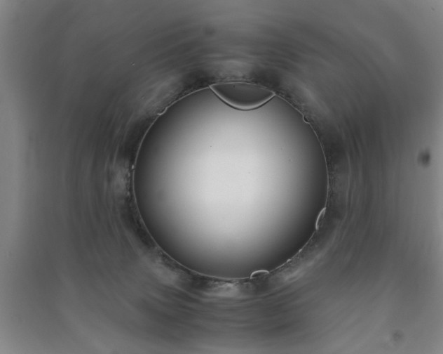 X0000091240083200708161745