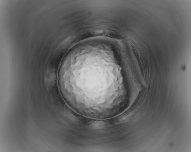 X0000091240085200708161745
