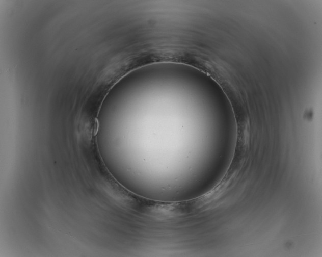 X0000091240086200708161745