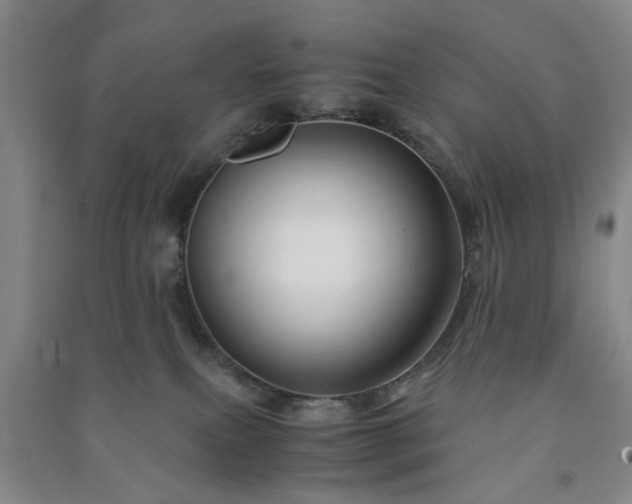 X0000091240087200708161745
