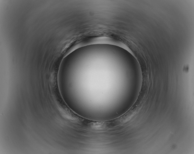 X0000091240088200708161745