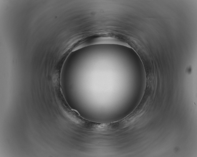 X0000091240092200708161745