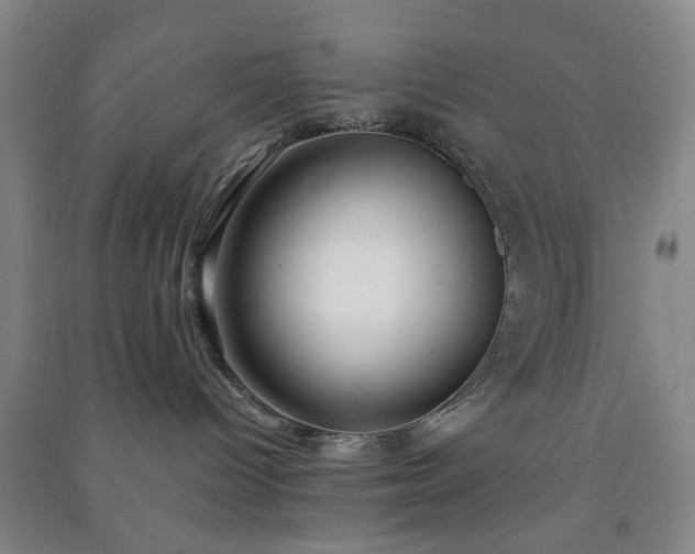 X0000091240096200708161745