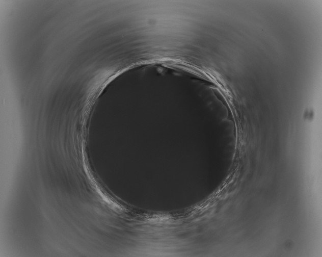 X0000091240097200708161744