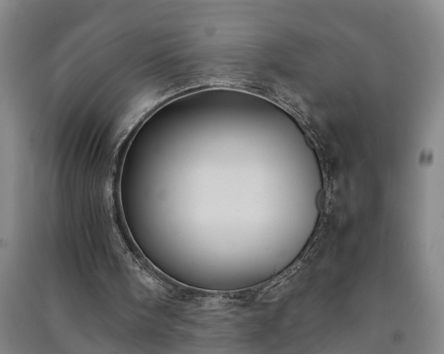 X0000091240098200708161744