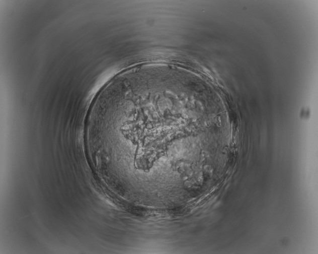 X0000091240099200708161744