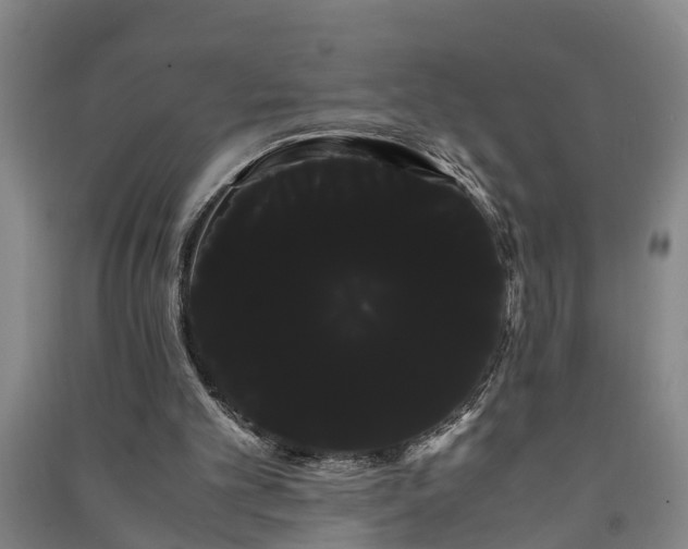 X0000091240101200708161744