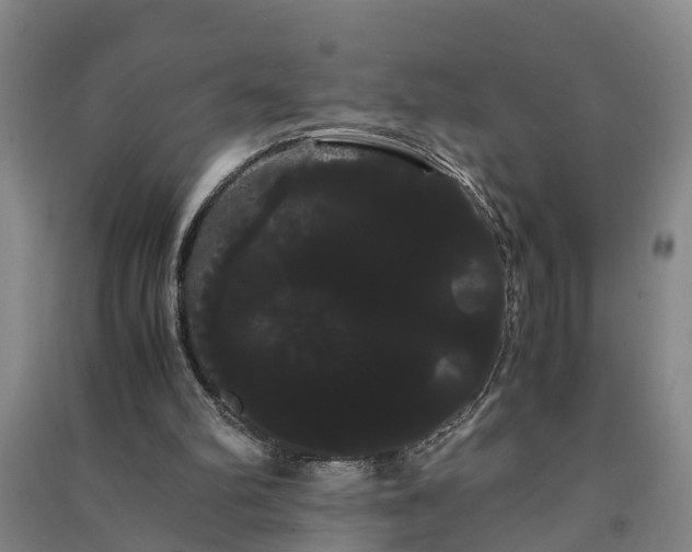X0000091240102200708161744