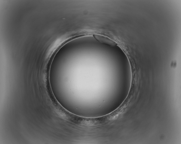 X0000091240103200708161744
